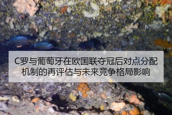 C罗与葡萄牙在欧国联夺冠后对点分配机制的再评估与未来竞争格局影响